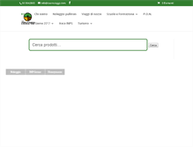 Tablet Screenshot of caereviaggi.com